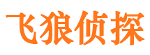 和平市婚外情调查